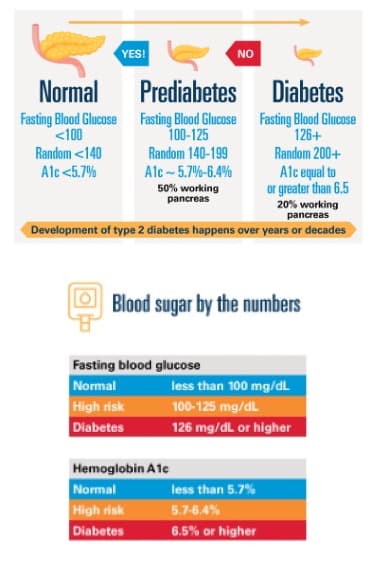 Diabetes Chart