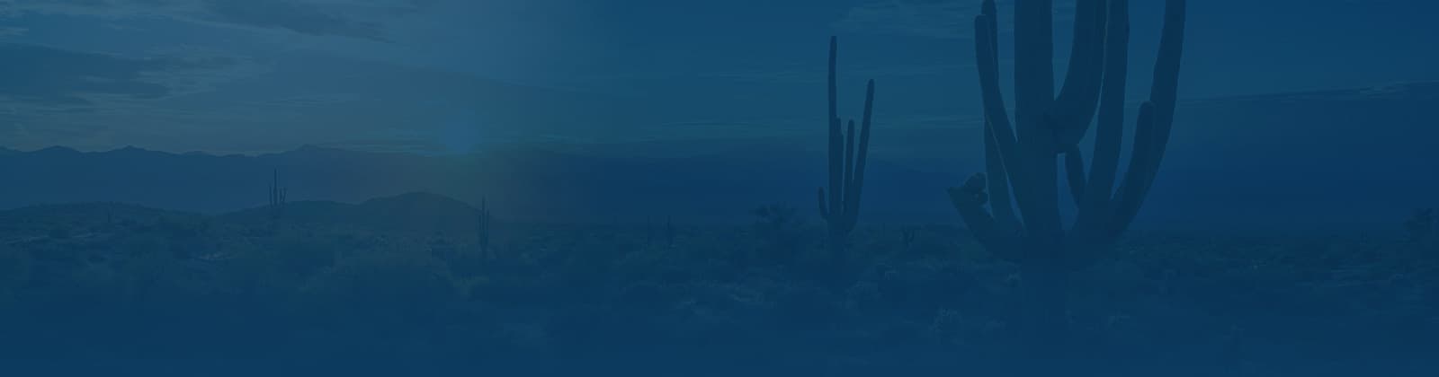prosanohealth-bottom-banner