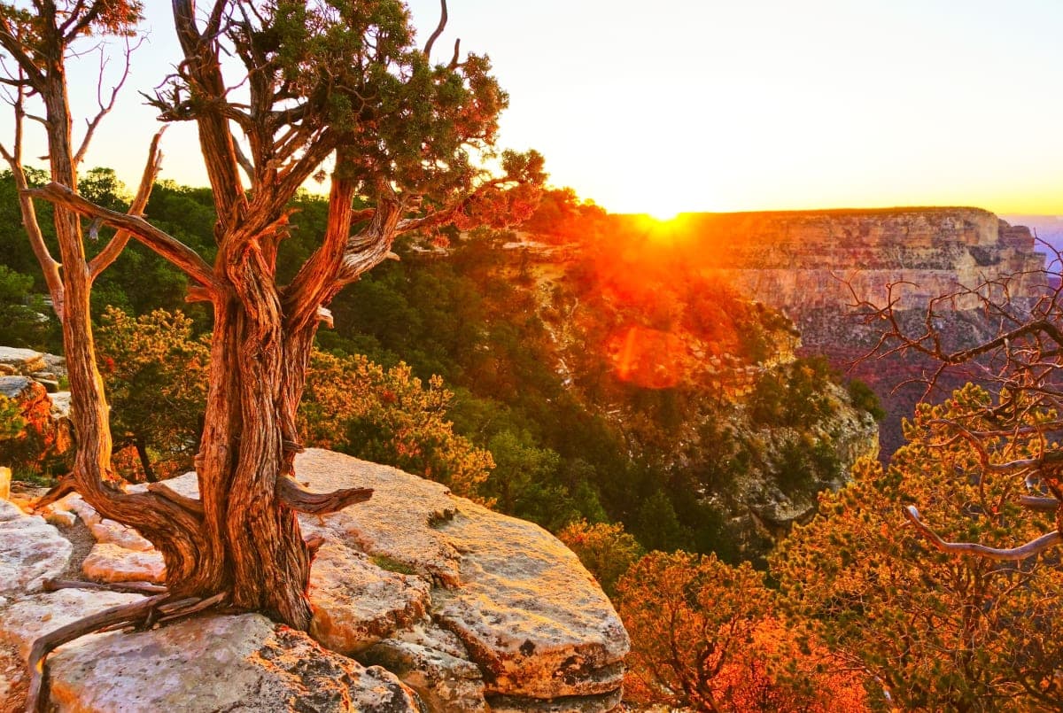 adobestock_274529147 Landscape