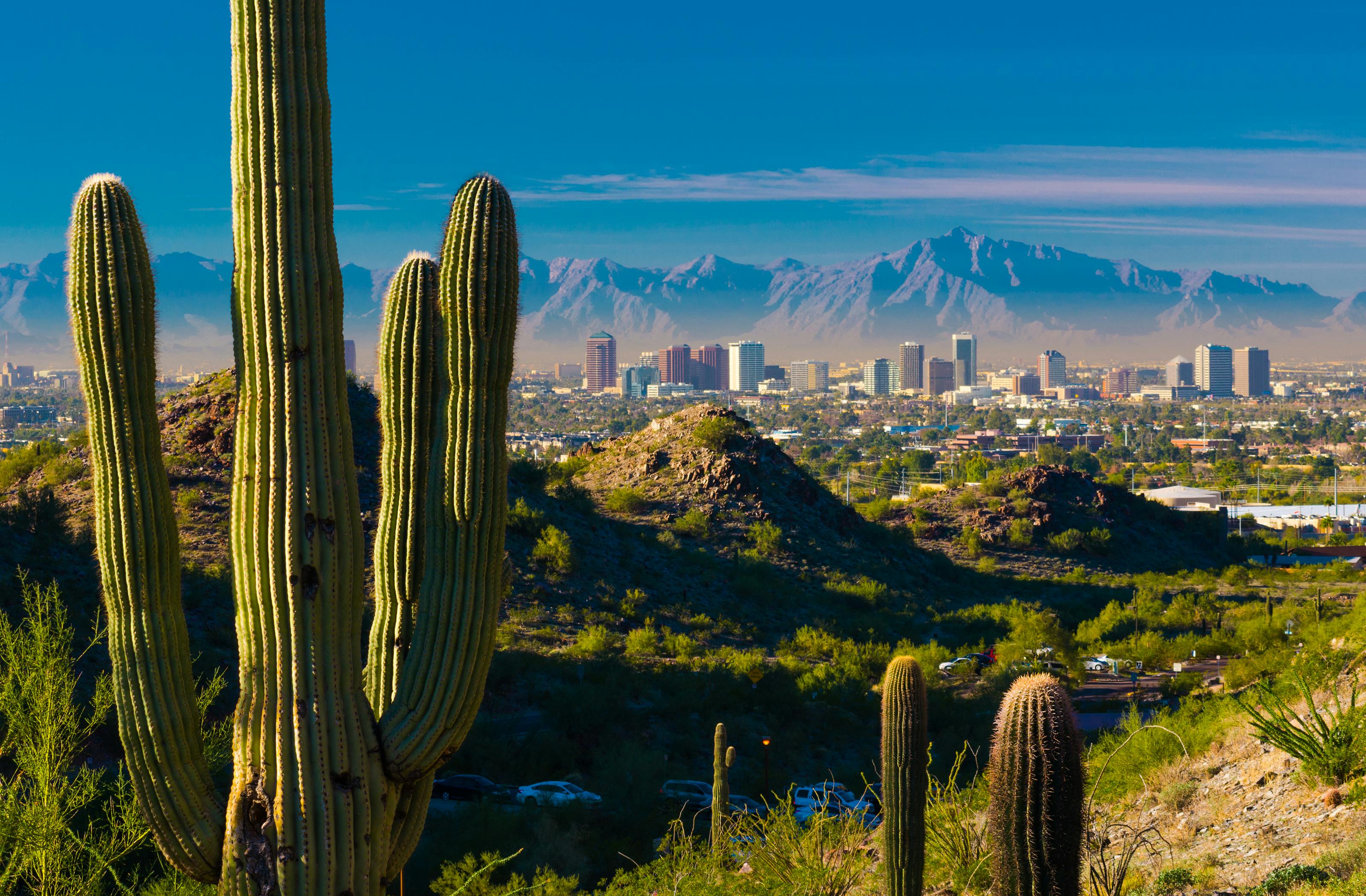 Midtown Phoenix skyline with several cacti and desert hills in the foreground.