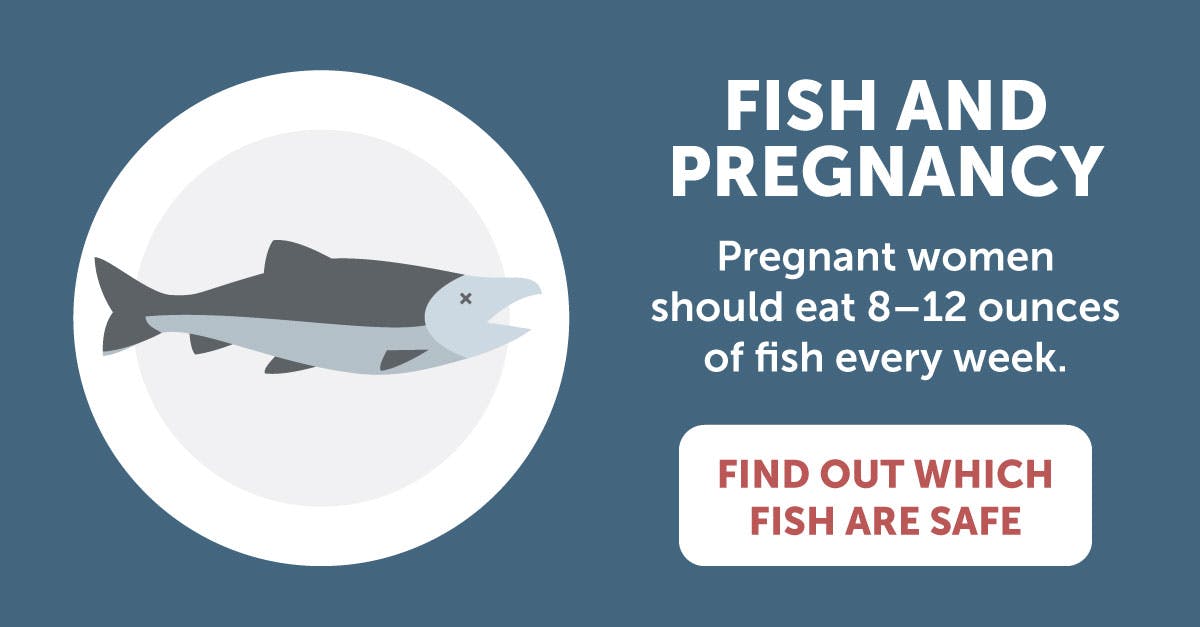 Fish on plate. Text: Fish and pregnancy Pregnant women should eat 8-12 ounces of fish every week. Find out which fish are safe