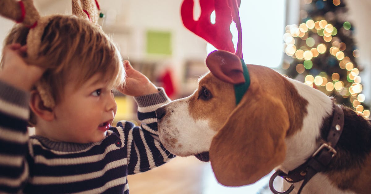 A beagle wearing antlers sniffs a toddler wearing antlers.