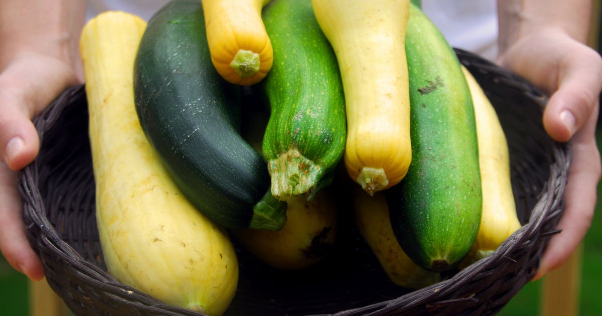 Hands hold a basket of zucchini and yellow squash.