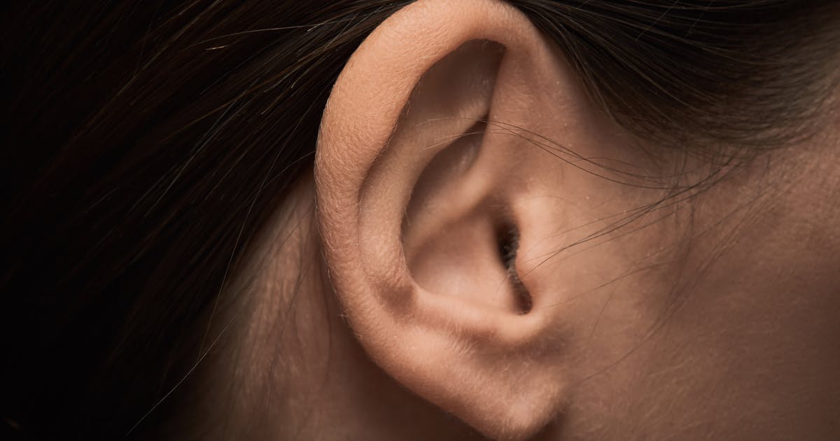 Close-up view of an ear.
