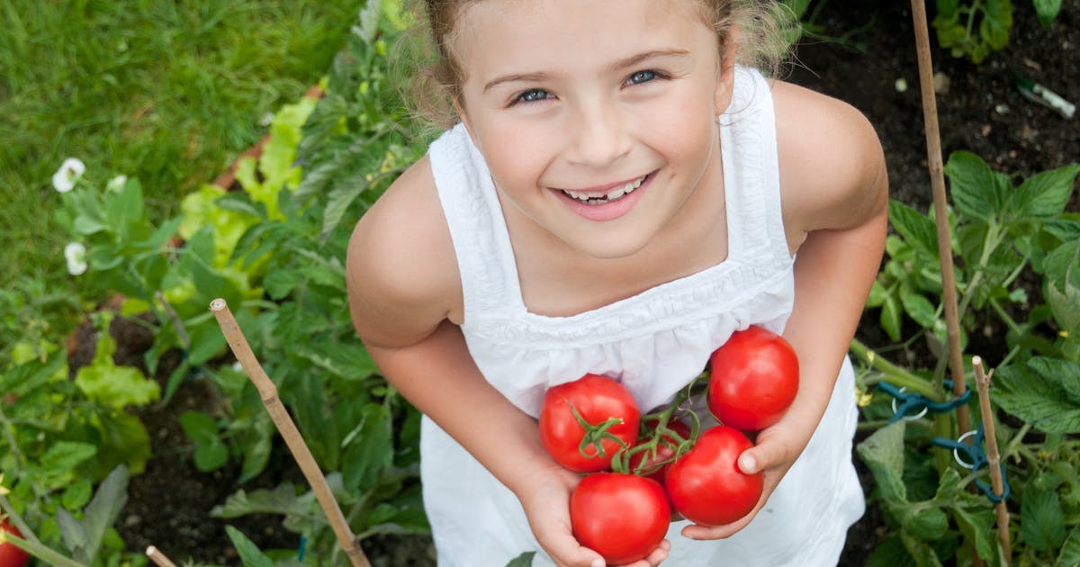 A young girl stands in a garden holding several ripe tomatoes.