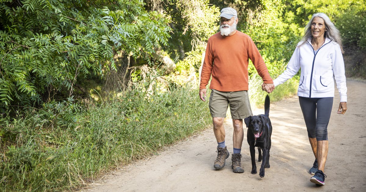 An older couple hold hands as they walk down a trail with a black dog between them.