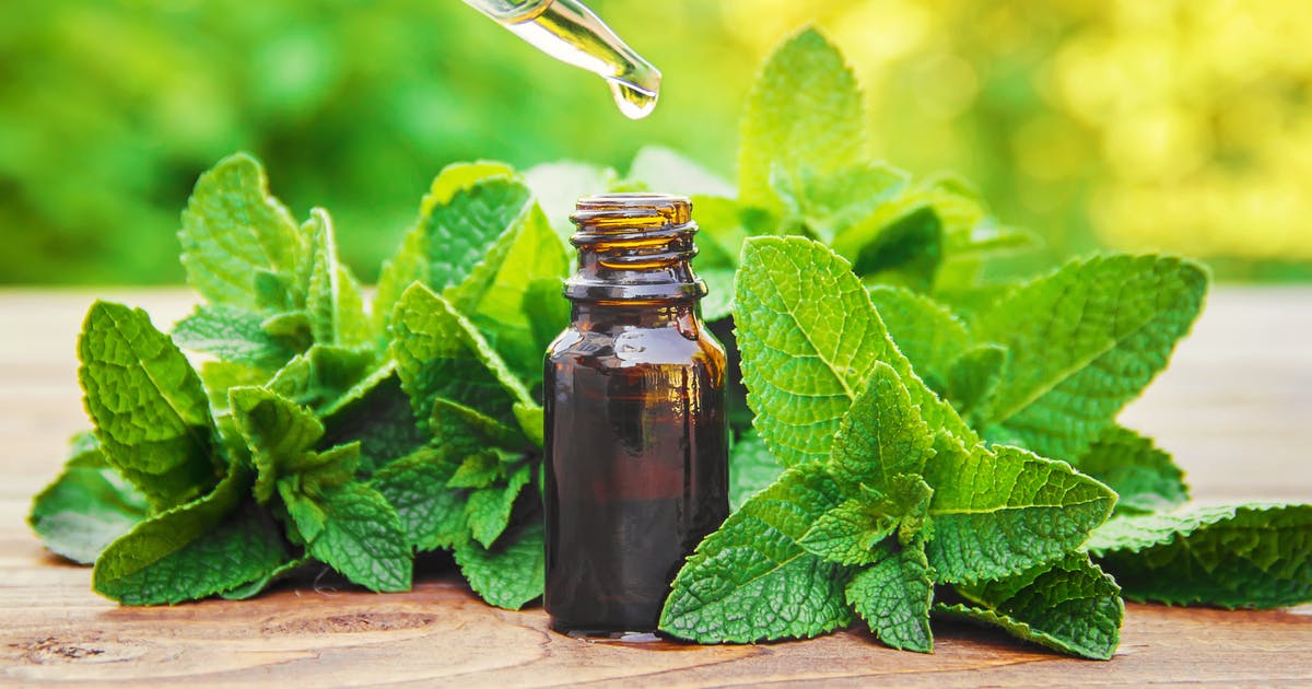 A dropper drips oil into a brown bottle surrounded by mint leaves