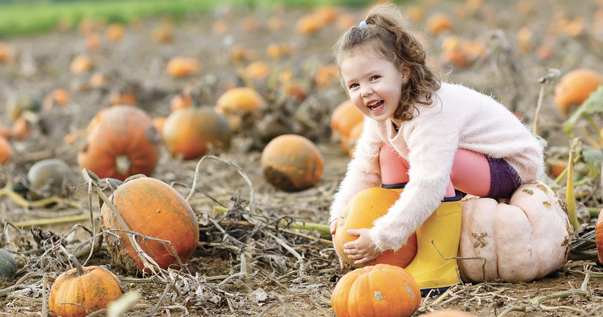 A young girl in a pumpkin patch. 