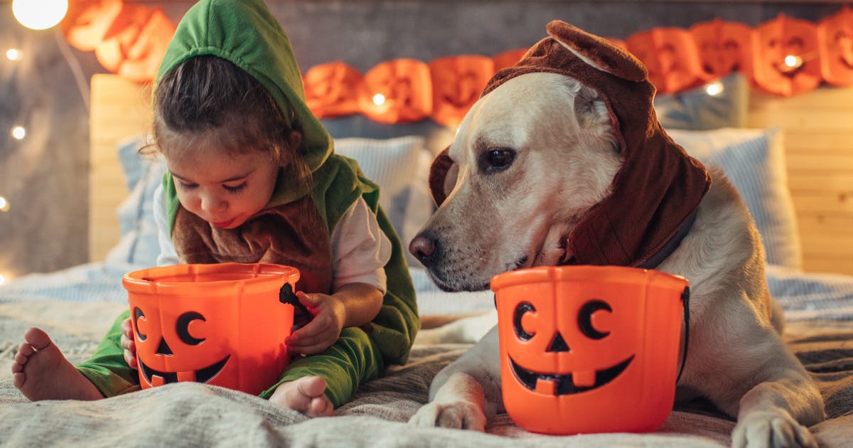 A young girl and a dog sit on a bed with Halloween candy buckets