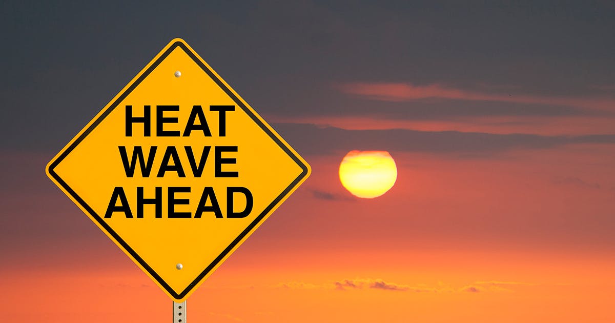 A road sign in front of a sunset. Sign reads: "Heat wave ahead."