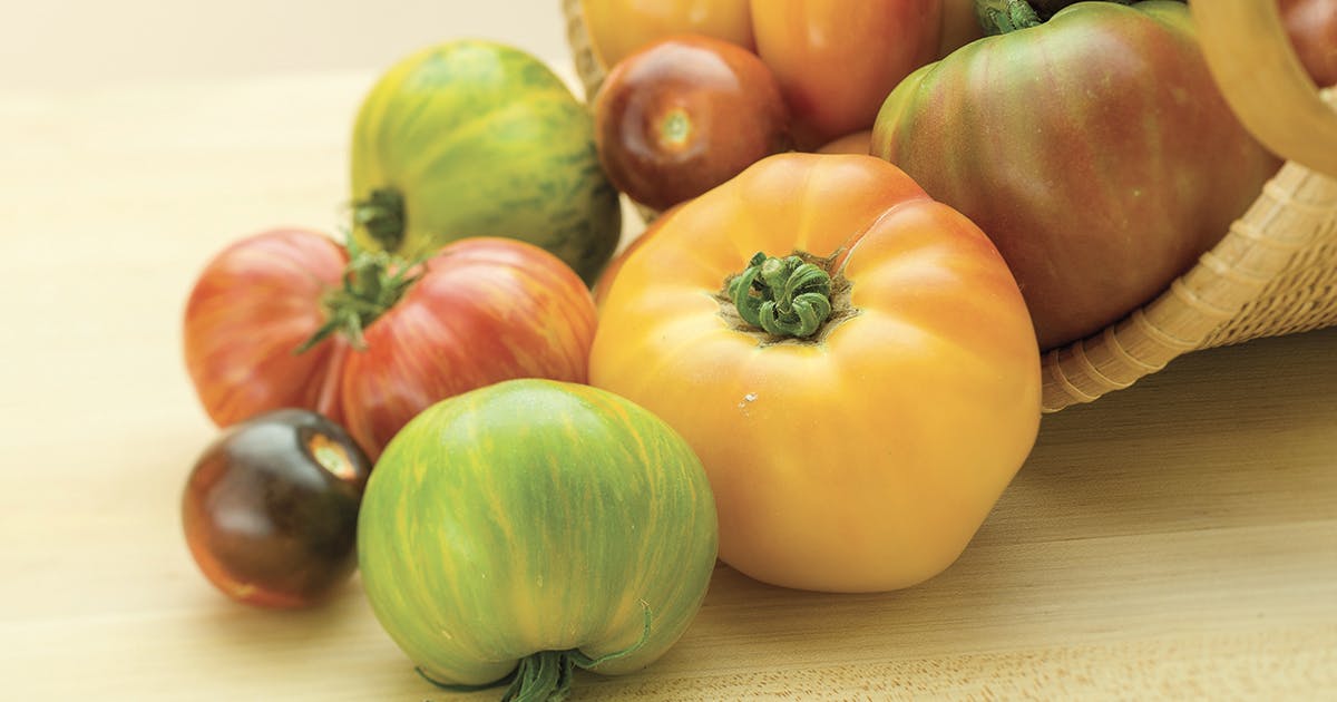 A variety of yellow, green and red tomatoes.
