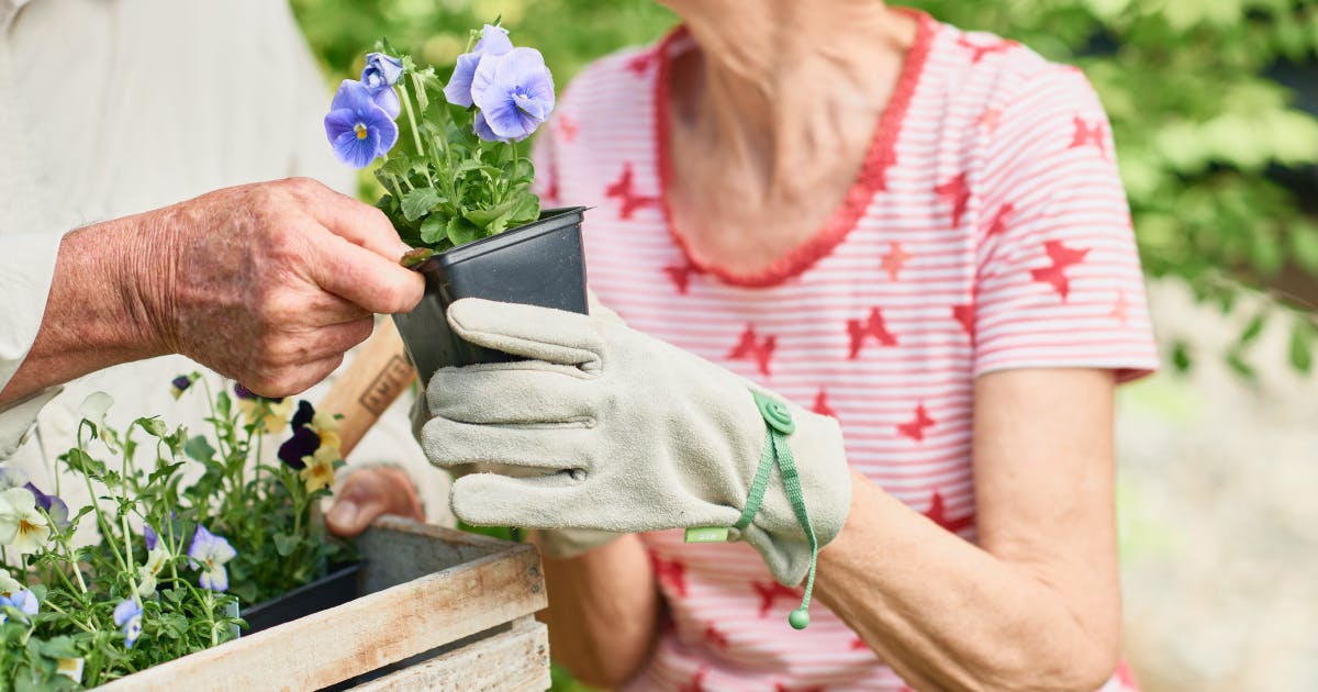 An older woman's hands and torso as she is handed a seedling