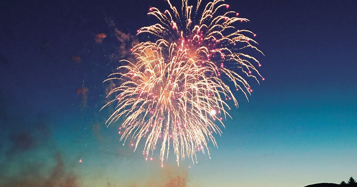 A firework bursting in the night sky. 